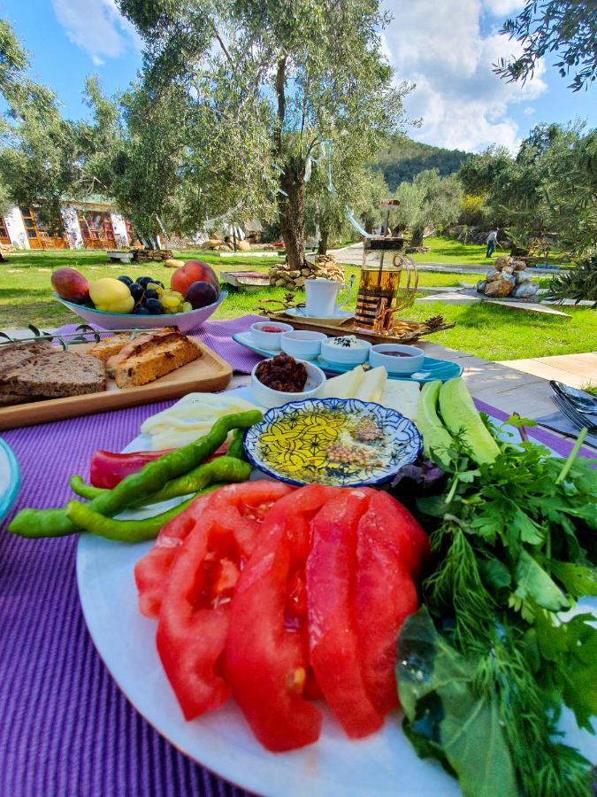 Yiva Kazdaglari Hotel Mehmetalani Eksteriør billede